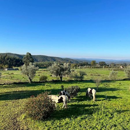 Ázere Quinta Da Barroca Do Cabo Bed & Breakfast エクステリア 写真