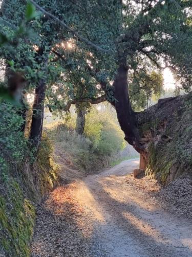 Ázere Quinta Da Barroca Do Cabo Bed & Breakfast エクステリア 写真