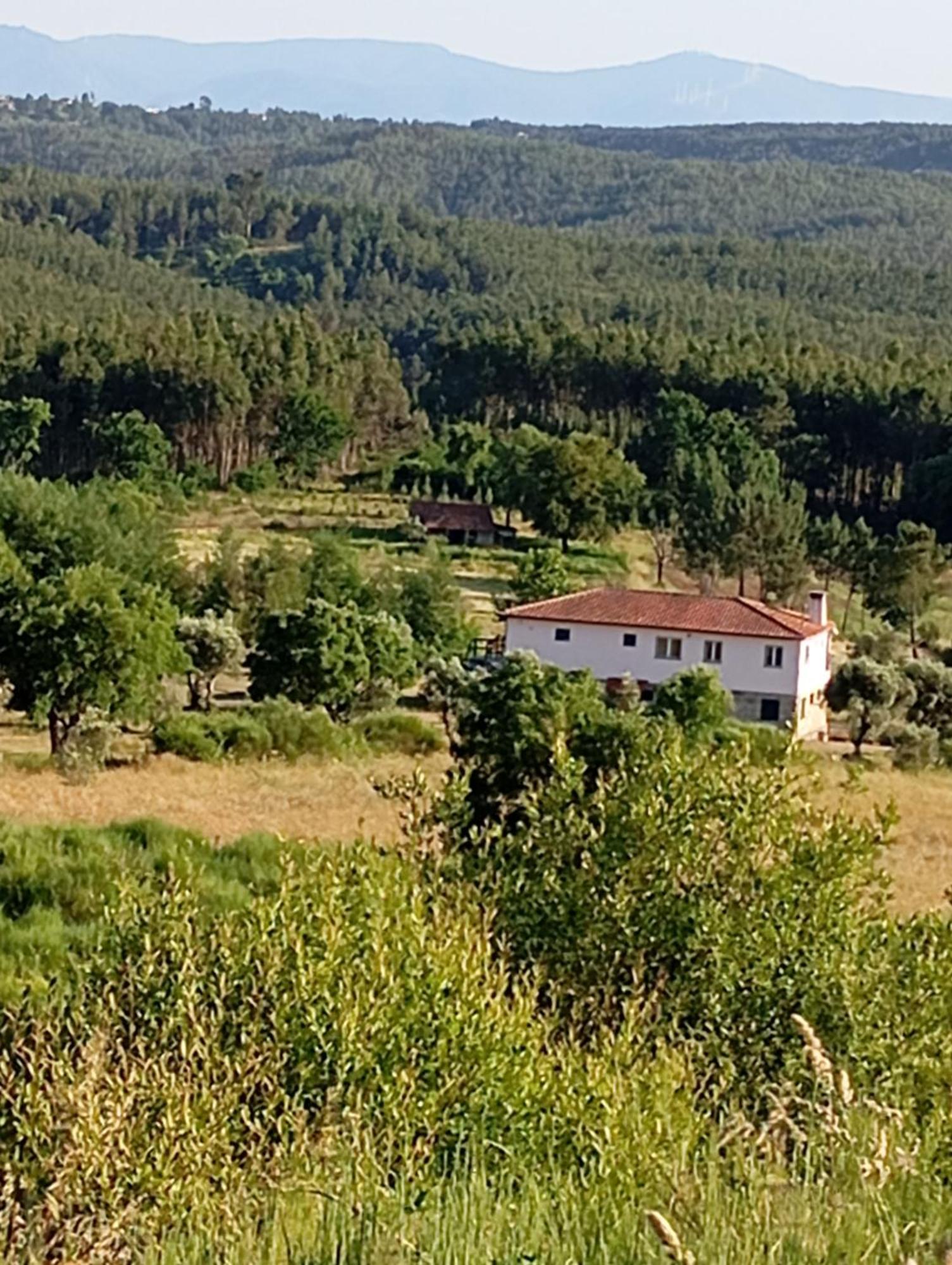 Ázere Quinta Da Barroca Do Cabo Bed & Breakfast エクステリア 写真