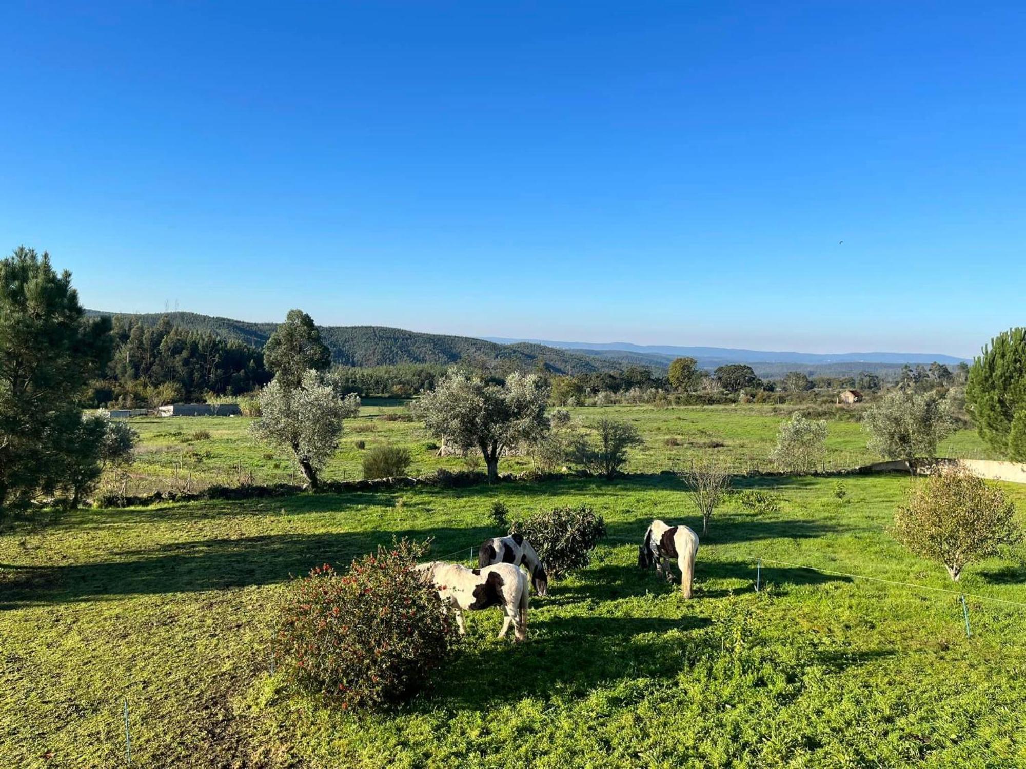 Ázere Quinta Da Barroca Do Cabo Bed & Breakfast エクステリア 写真